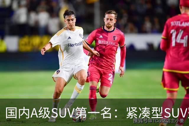 国内A级SUV第一名：紧凑型SUV冠军车，9个月时间销量破14万台